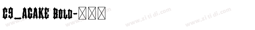 C9_AGAKE Bold字体转换